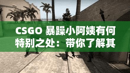 CSGO 暴躁小阿姨有何特别之处：带你了解其独特魅力所在