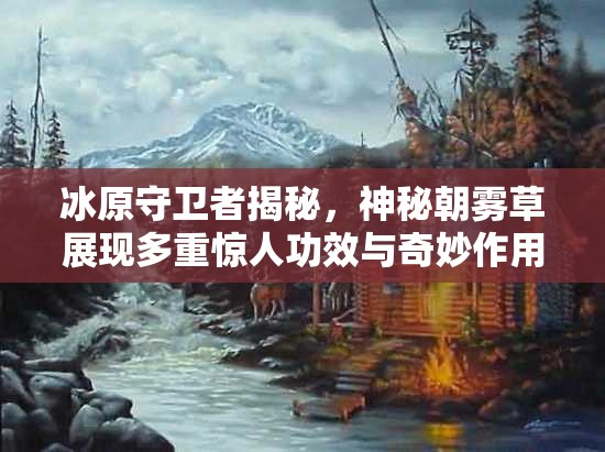 冰原守卫者揭秘，神秘朝雾草展现多重惊人功效与奇妙作用