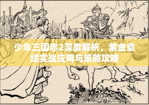 少年三国志2深度解析，紫金袁绍实战应用与策略攻略