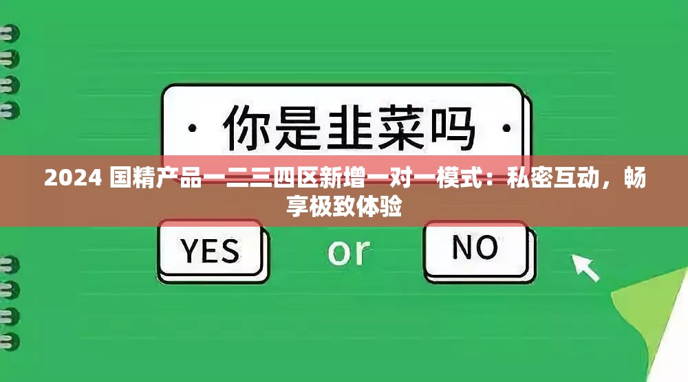 2024 国精产品一二三四区新增一对一模式：私密互动，畅享极致体验