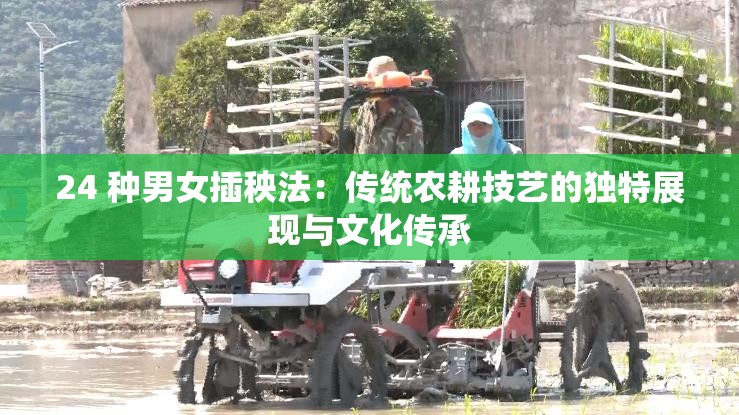 24 种男女插秧法：传统农耕技艺的独特展现与文化传承