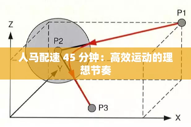 人马配速 45 分钟：高效运动的理想节奏