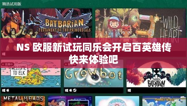 NS 欧服新试玩同乐会开启百英雄传快来体验吧