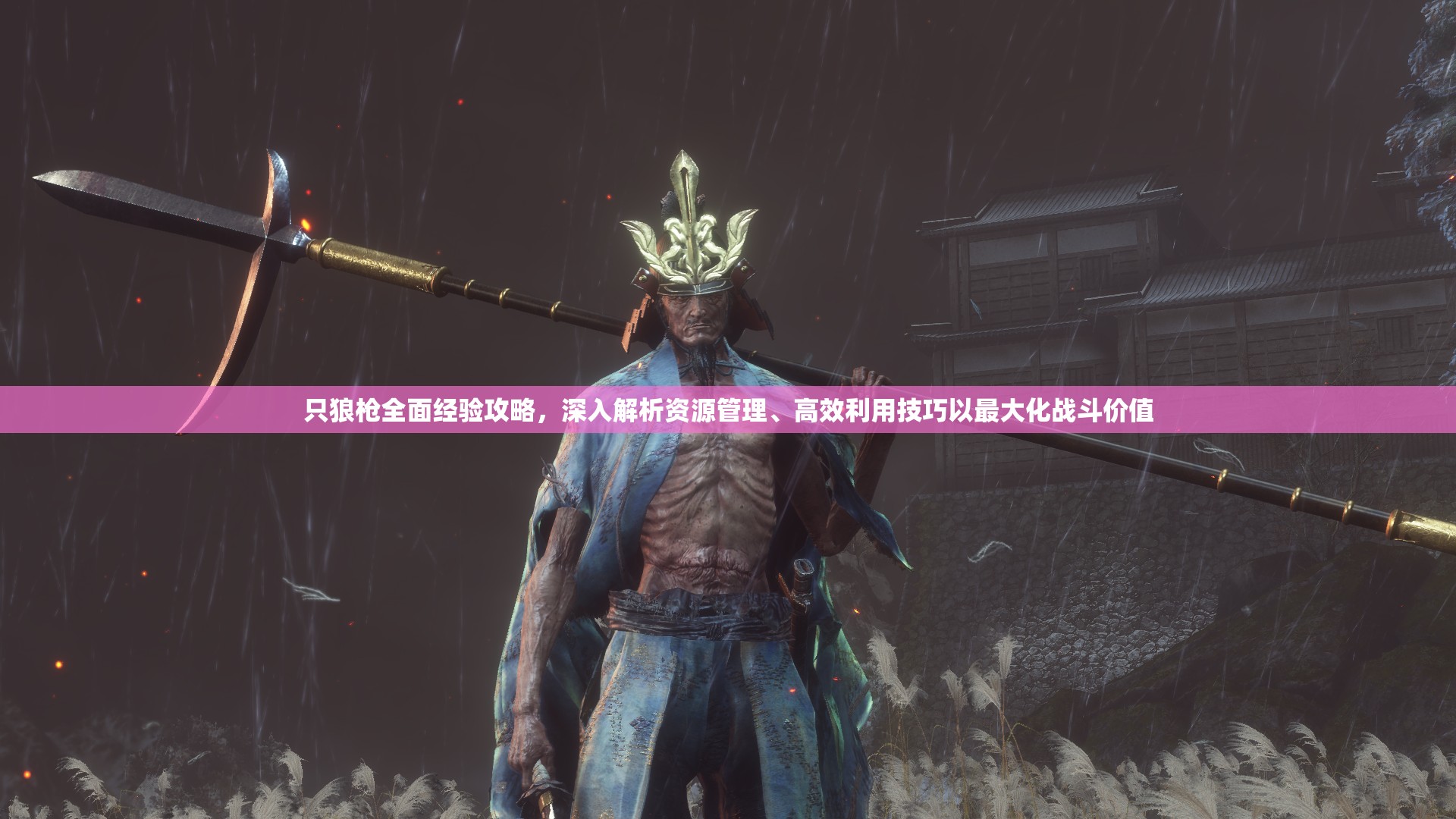 只狼枪全面经验攻略，深入解析资源管理、高效利用技巧以最大化战斗价值