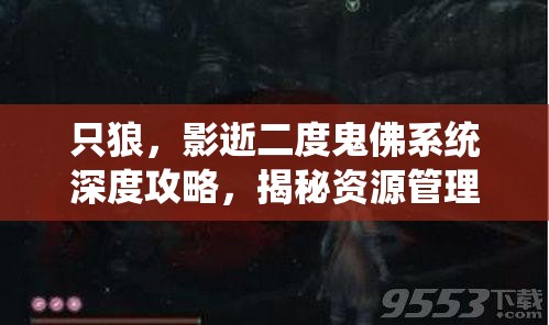 只狼，影逝二度鬼佛系统深度攻略，揭秘资源管理的艺术与玩法精髓