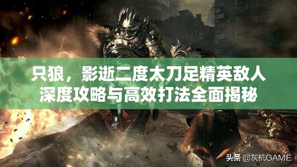 只狼，影逝二度太刀足精英敌人深度攻略与高效打法全面揭秘