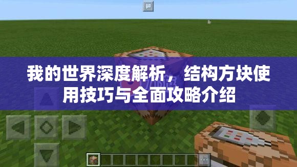 我的世界深度解析，结构方块使用技巧与全面攻略介绍