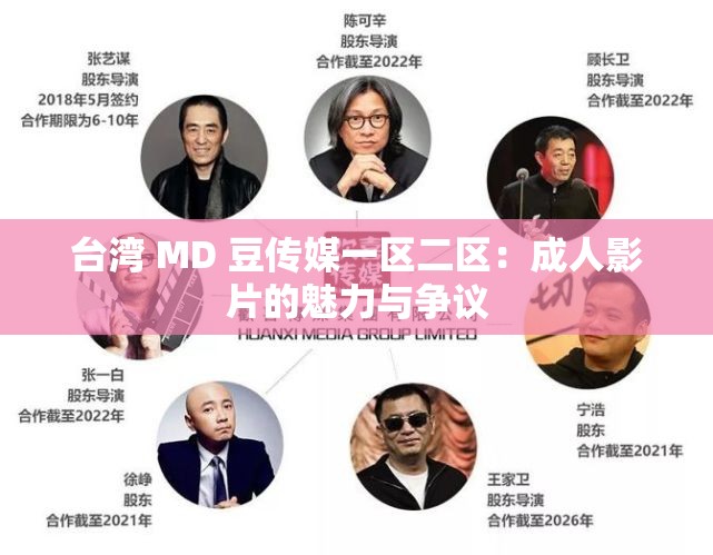 台湾 MD 豆传媒一区二区：成人影片的魅力与争议
