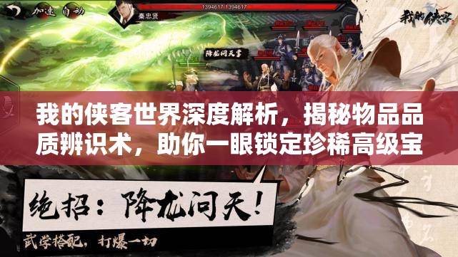 我的侠客世界深度解析，揭秘物品品质辨识术，助你一眼锁定珍稀高级宝藏