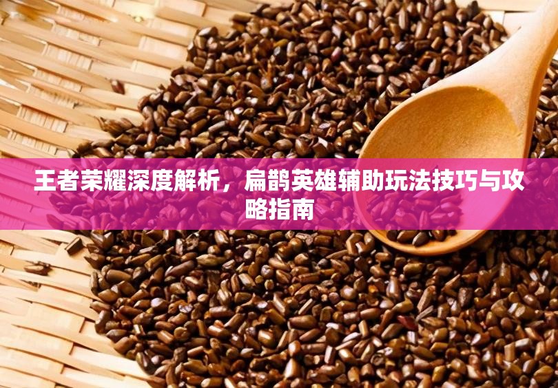 王者荣耀深度解析，扁鹊英雄辅助玩法技巧与攻略指南