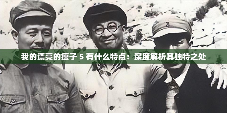 我的漂亮的瘦子 5 有什么特点：深度解析其独特之处