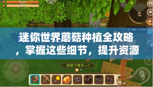 迷你世界蘑菇种植全攻略，掌握这些细节，提升资源管理效率与成效