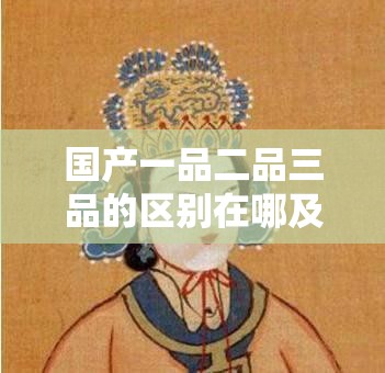 国产一品二品三品的区别在哪及引人入胜关卡剧情带你畅享其中