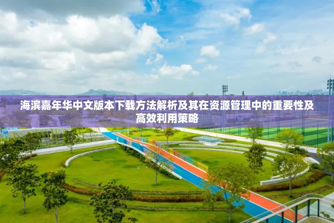 海滨嘉年华中文版本下载方法解析及其在资源管理中的重要性及高效利用策略