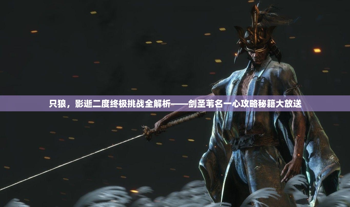 只狼，影逝二度终极挑战全解析——剑圣苇名一心攻略秘籍大放送