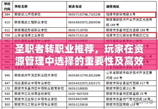 圣职者转职业推荐，玩家在资源管理中选择的重要性及高效策略解析