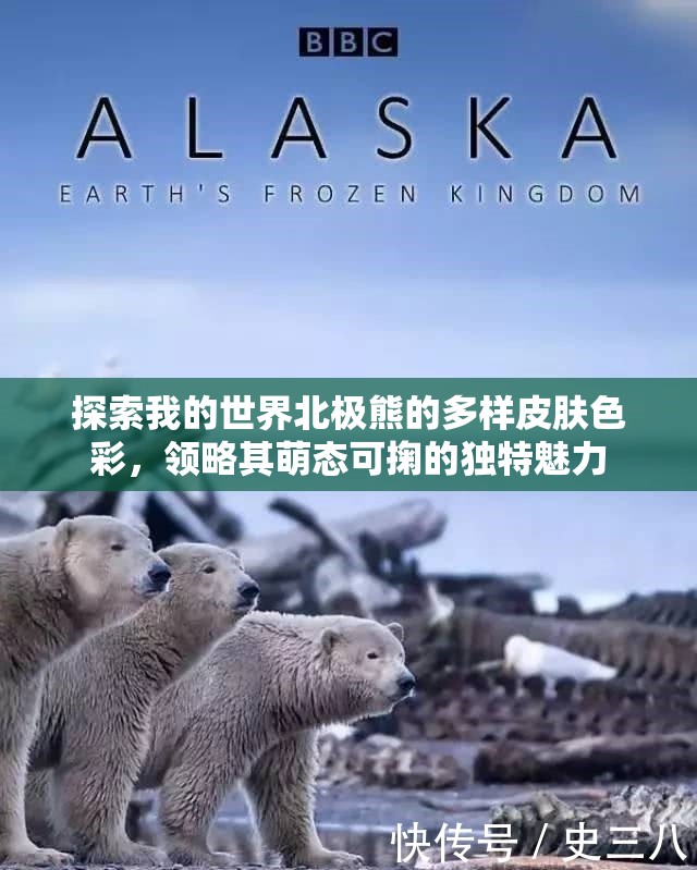 探索我的世界北极熊的多样皮肤色彩，领略其萌态可掬的独特魅力