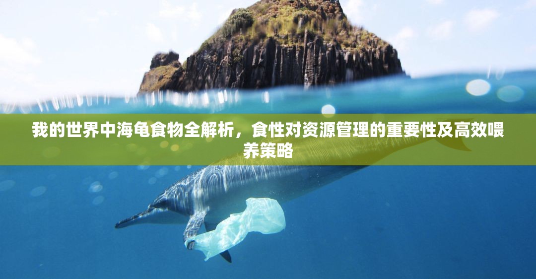 我的世界中海龟食物全解析，食性对资源管理的重要性及高效喂养策略