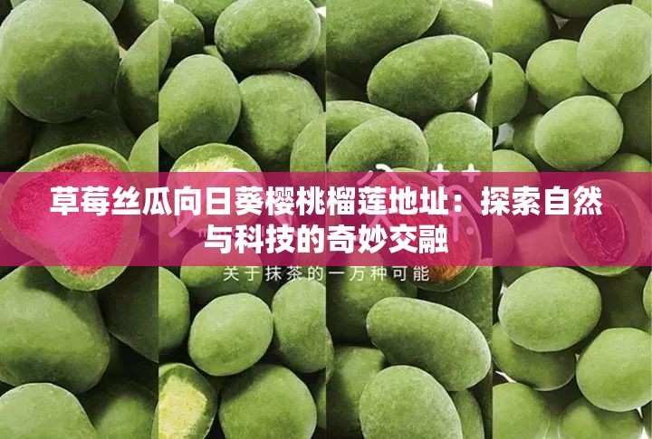 草莓丝瓜向日葵樱桃榴莲地址：探索自然与科技的奇妙交融