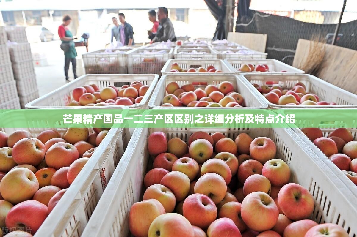 芒果精产国品一二三产区区别之详细分析及特点介绍