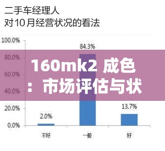 160mk2 成色：市场评估与状况如何