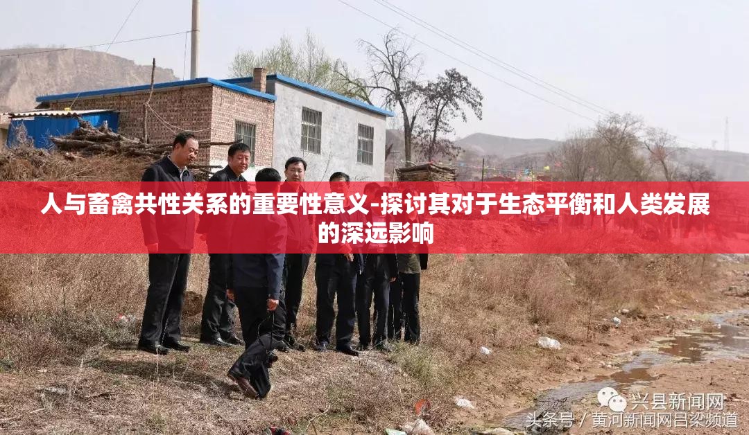 人与畜禽共性关系的重要性意义-探讨其对于生态平衡和人类发展的深远影响
