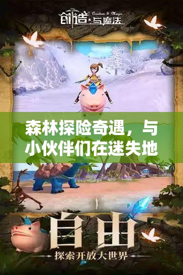 森林探险奇遇，与小伙伴们在迷失地图中展开意外之旅