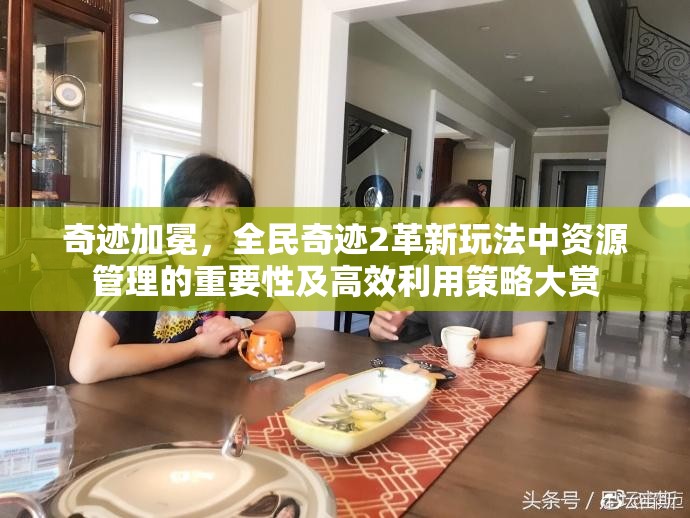 奇迹加冕，全民奇迹2革新玩法中资源管理的重要性及高效利用策略大赏