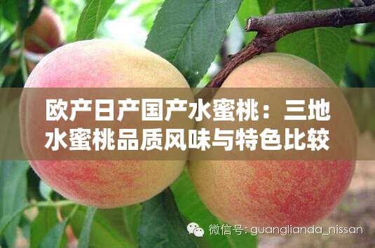 欧产日产国产水蜜桃：三地水蜜桃品质风味与特色比较