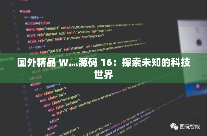 国外精品 W灬源码 16：探索未知的科技世界