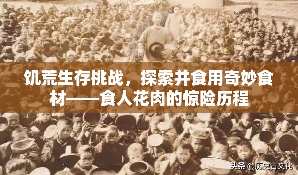饥荒生存挑战，探索并食用奇妙食材——食人花肉的惊险历程