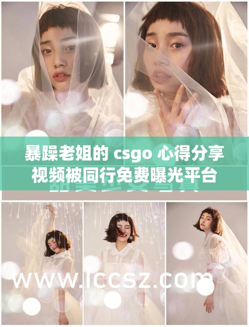 暴躁老姐的 csgo 心得分享视频被同行免费曝光平台引发的争议与思考