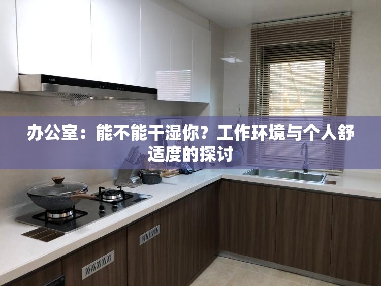 办公室：能不能干湿你？工作环境与个人舒适度的探讨