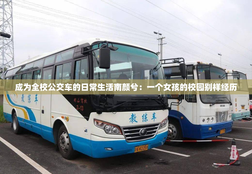 成为全校公交车的日常生活南颜兮：一个女孩的校园别样经历