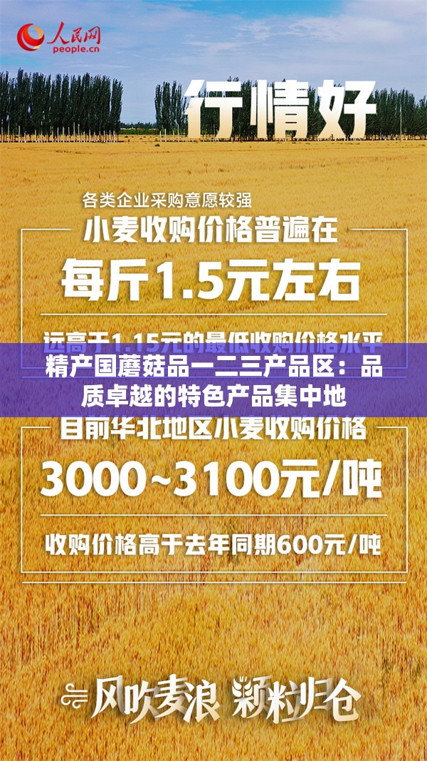 精产国蘑菇品一二三产品区：品质卓越的特色产品集中地