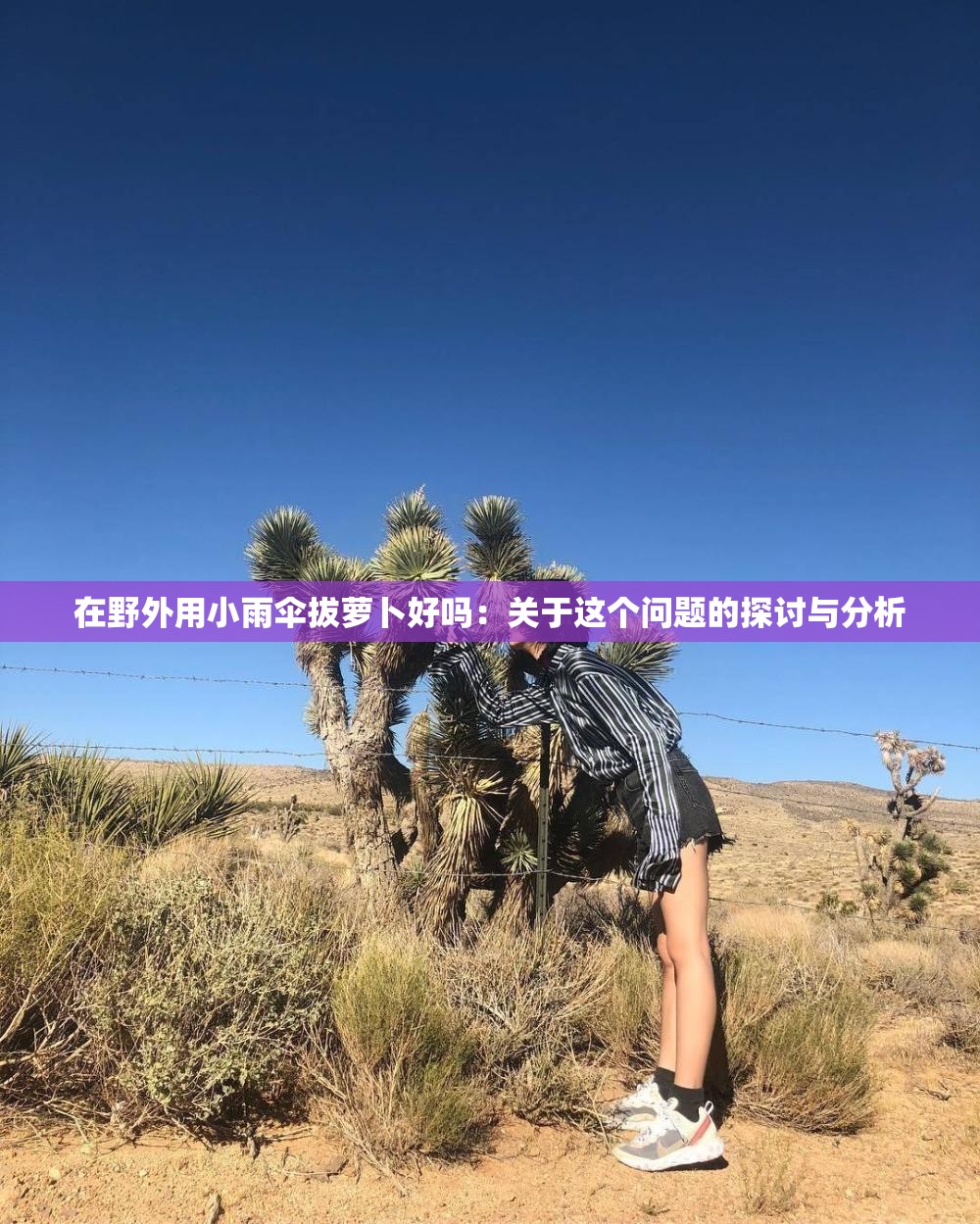 在野外用小雨伞拔萝卜好吗：关于这个问题的探讨与分析