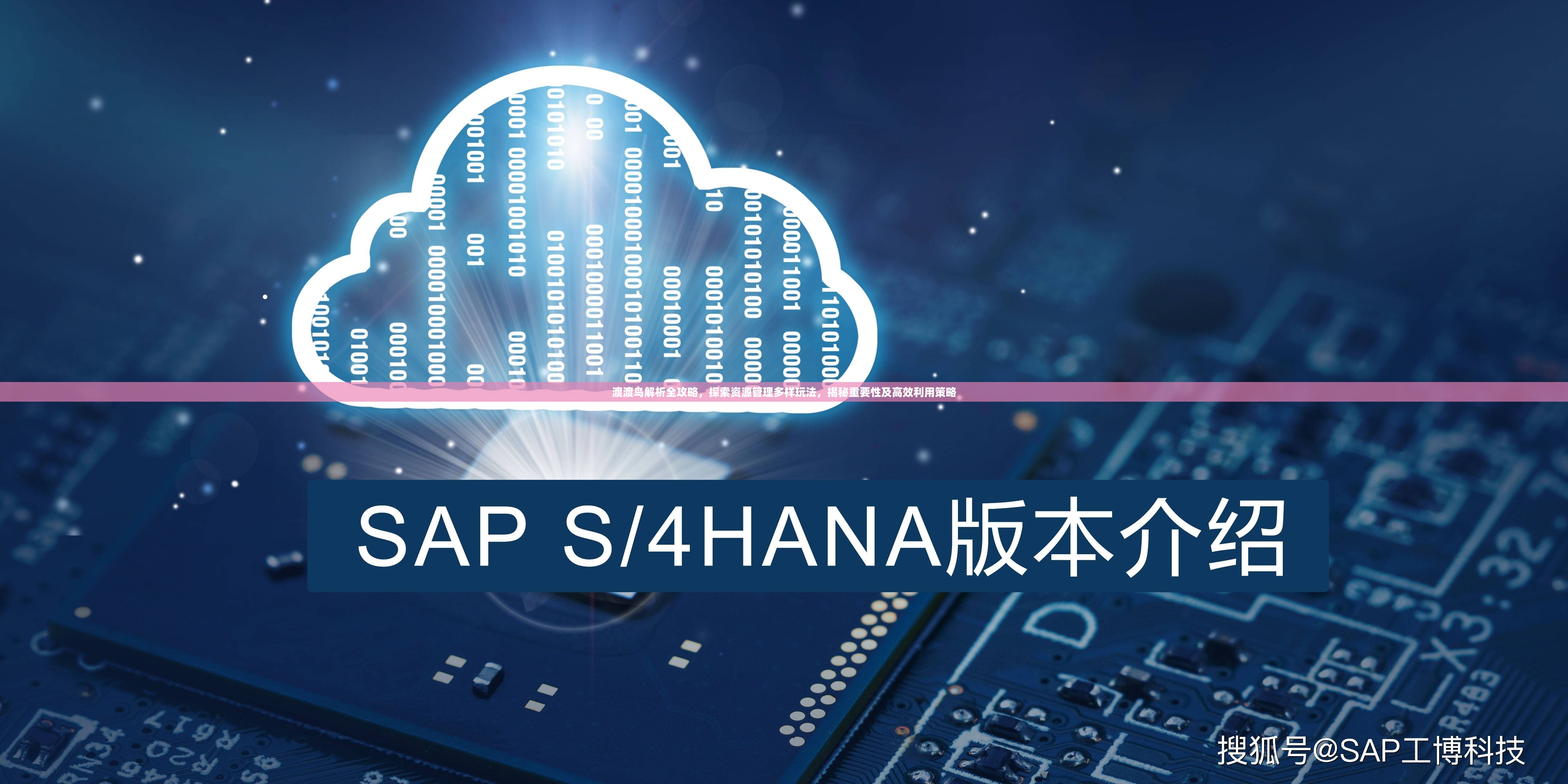 渡渡鸟解析全攻略，探索资源管理多样玩法，揭秘重要性及高效利用策略