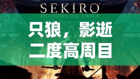 只狼，影逝二度高周目全面技巧攻略，简化操作难度，助你挑战更从容不迫