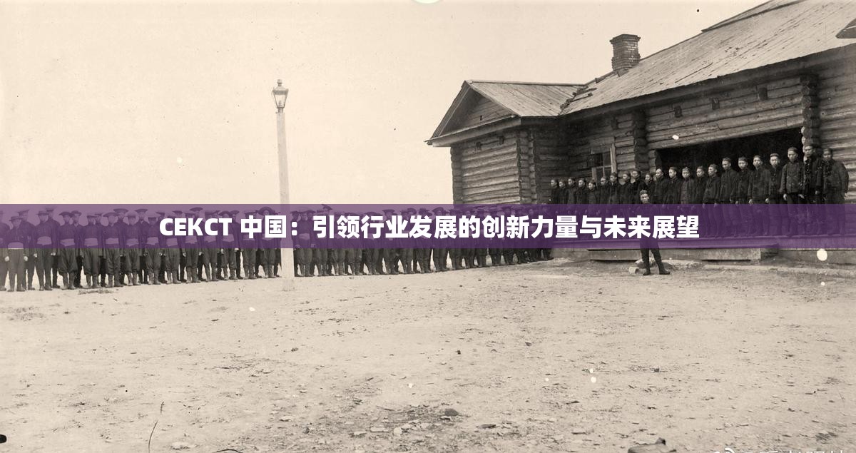 СЕКСТ 中国：引领行业发展的创新力量与未来展望