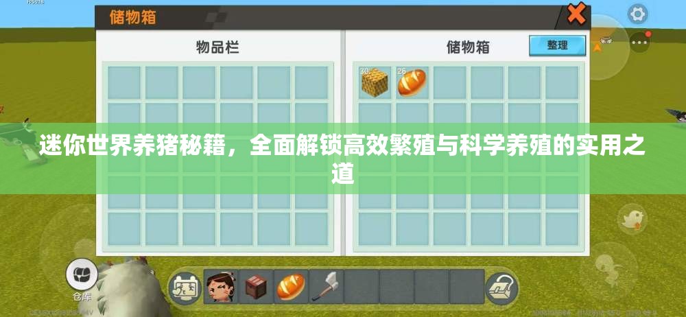 迷你世界养猪秘籍，全面解锁高效繁殖与科学养殖的实用之道