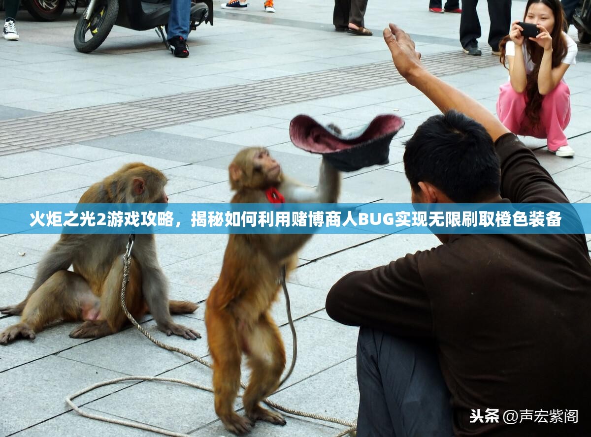 火炬之光2游戏攻略，揭秘如何利用赌博商人BUG实现无限刷取橙色装备