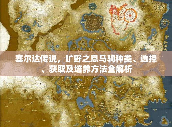 塞尔达传说，旷野之息马驹种类、选择、获取及培养方法全解析