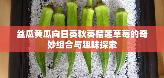 丝瓜黄瓜向日葵秋葵榴莲草莓的奇妙组合与趣味探索