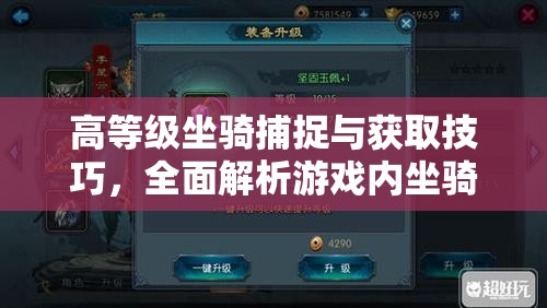 高等级坐骑捕捉与获取技巧，全面解析游戏内坐骑获取全攻略