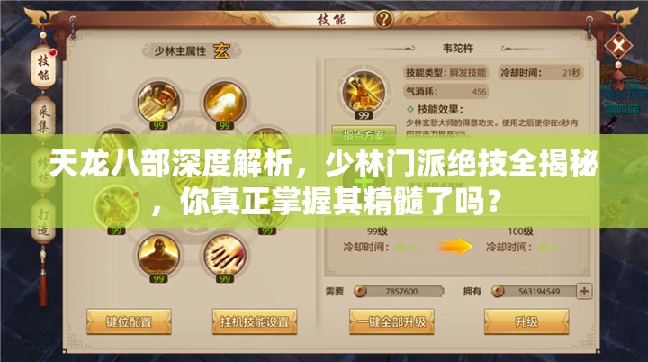 天龙八部深度解析，少林门派绝技全揭秘，你真正掌握其精髓了吗？