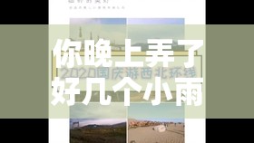 你晚上弄了好几个小雨伞：它们的用途是什么呢