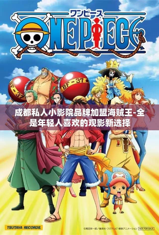 成都私人小影院品牌加盟海贼王-全是年轻人喜欢的观影新选择