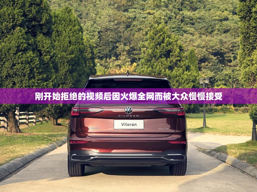 刚开始拒绝的视频后因火爆全网而被大众慢慢接受