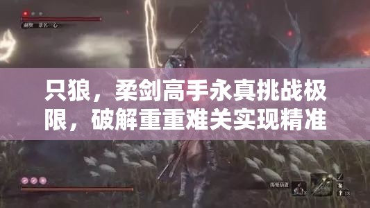 只狼，柔剑高手永真挑战极限，破解重重难关实现精准击杀