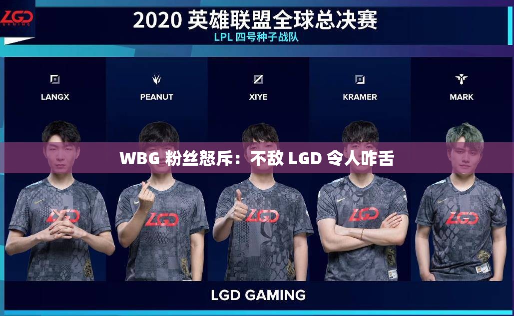 WBG 粉丝怒斥：不敌 LGD 令人咋舌